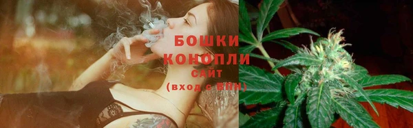 MESCALINE Новозыбков