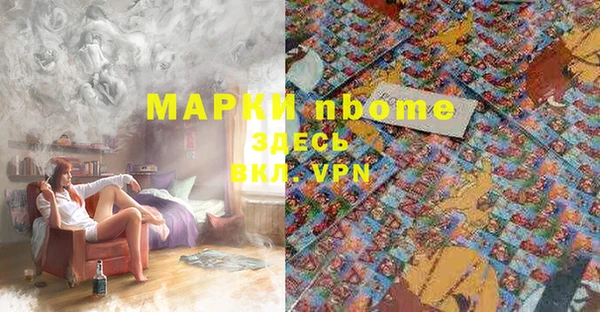 спиды Новокубанск