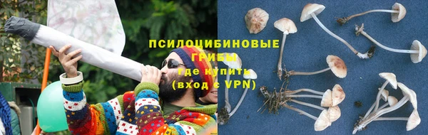 MESCALINE Новозыбков