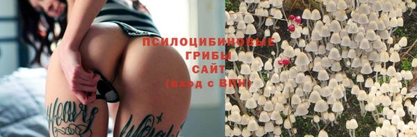 гидра Болохово