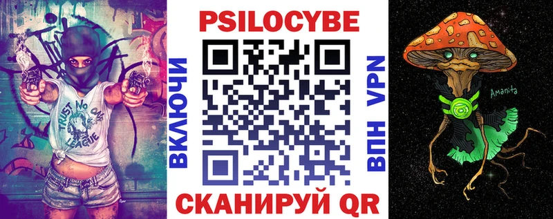 MEGA ссылки  Закаменск  Псилоцибиновые грибы ЛСД 