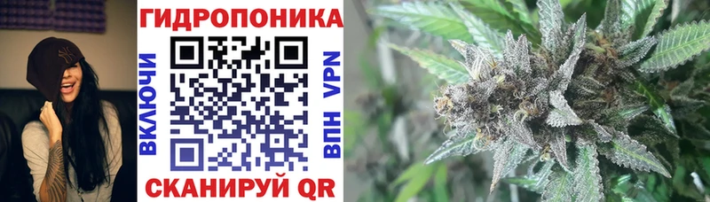хочу наркоту  Закаменск  кракен   МАРИХУАНА LSD WEED 