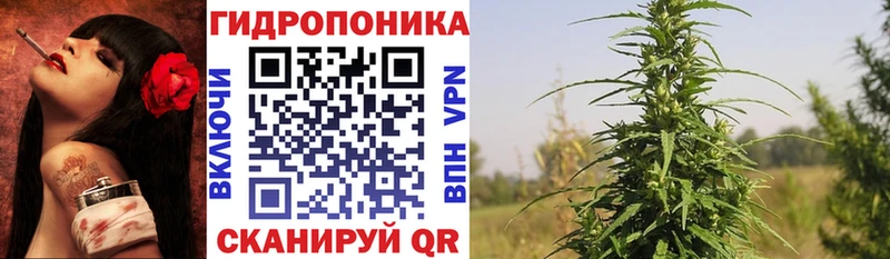 Бошки марихуана планчик Закаменск